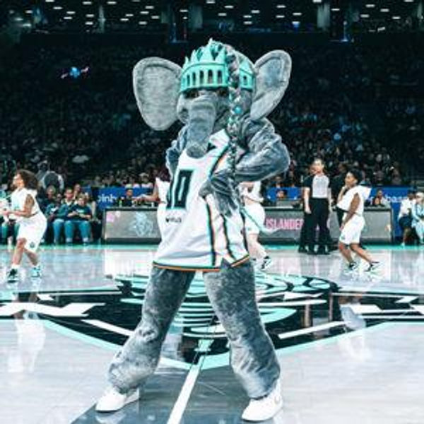Lady Liberty WNBA Basketball Game