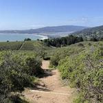 Dipsea Trail