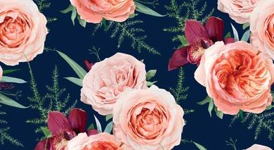 Footer image