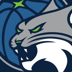 Basketball tickets - Lynx or Timberwolves!