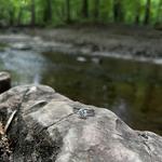 Shale Hollow Park