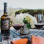 Explore the Vineyards of Long Island