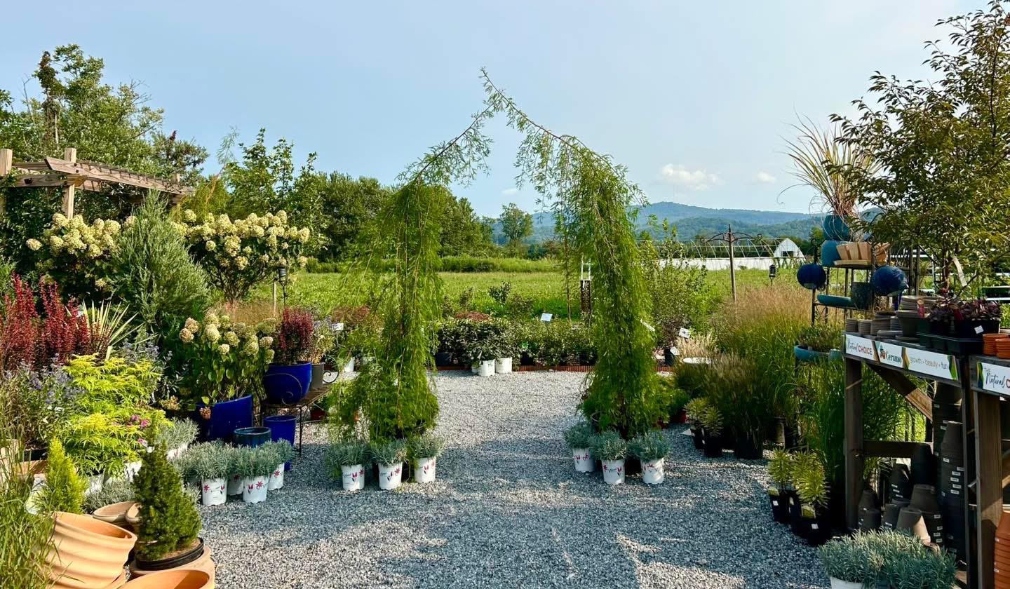 The Wedding Website of Caitlin McBride and Ryan Craw