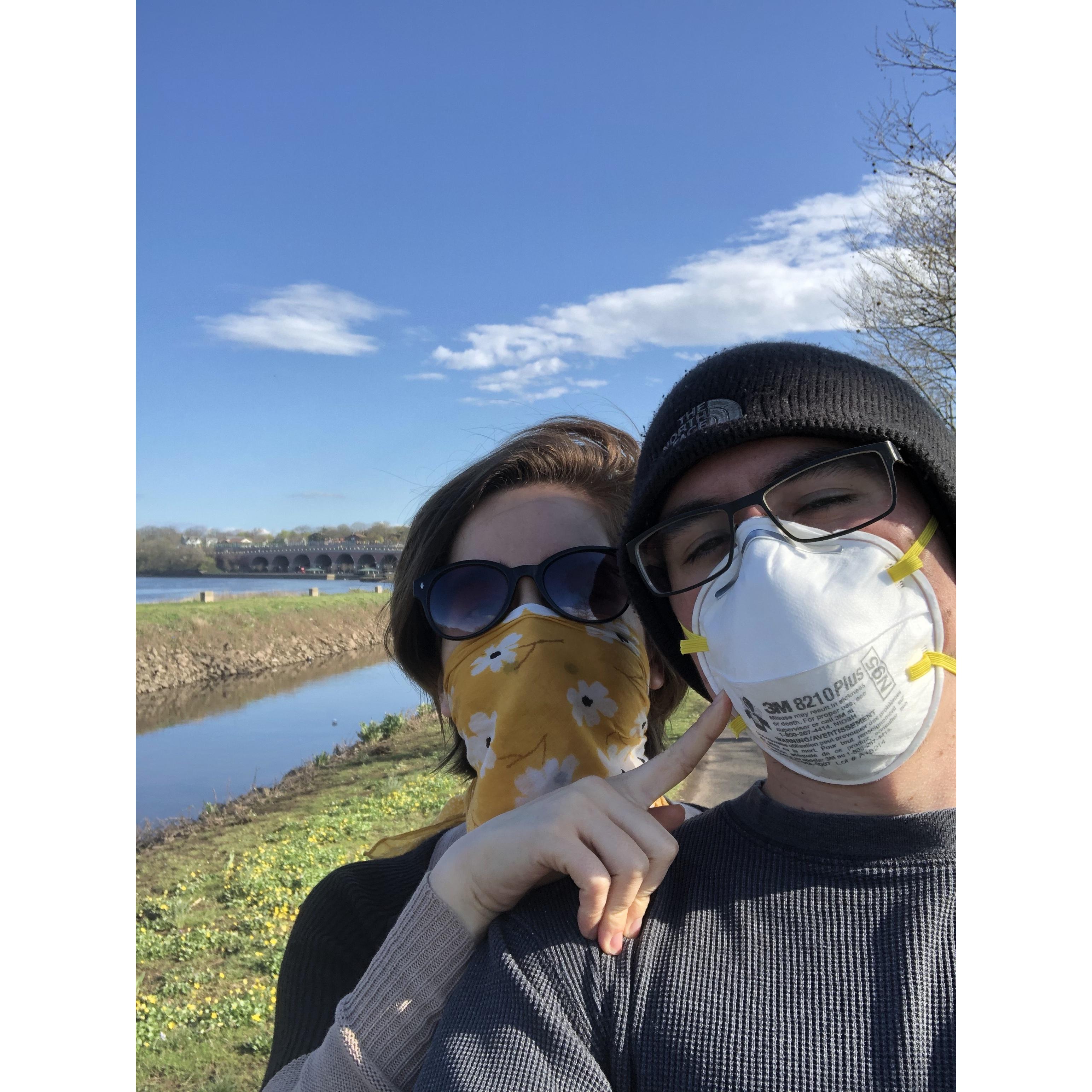 2020 meant lots of walks outside.