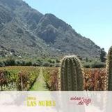 Las Nubes Bodegas y Viñedos