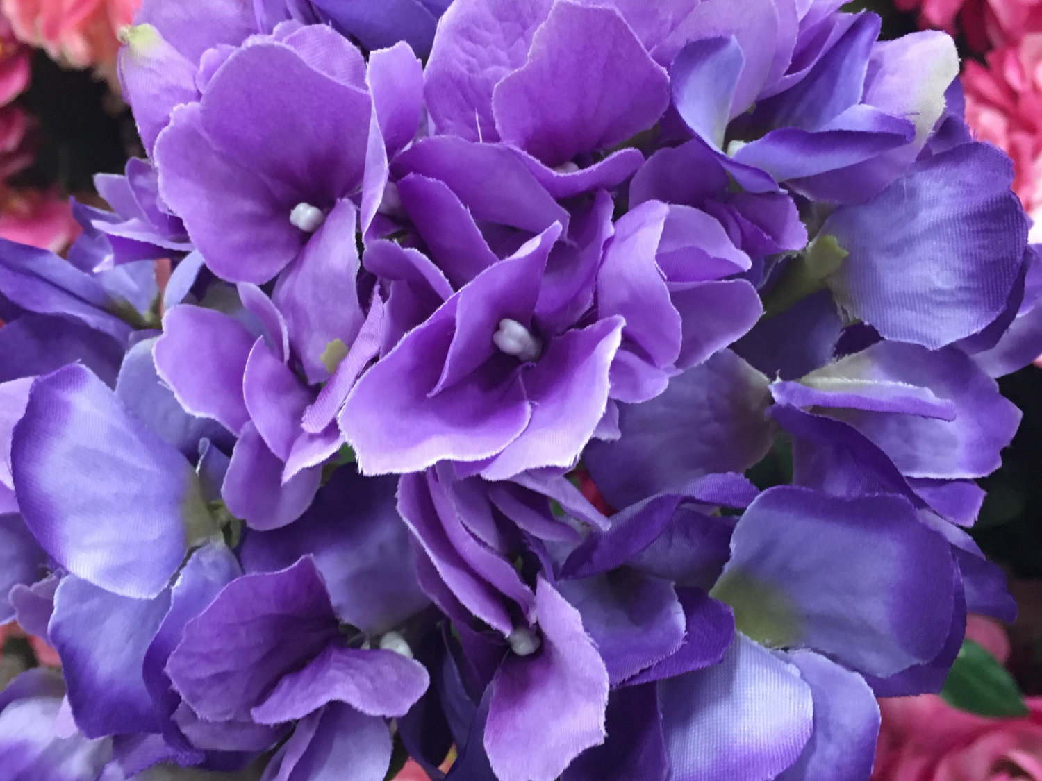 The Wedding Website of Sarah Johnson and Jeremy Bailey