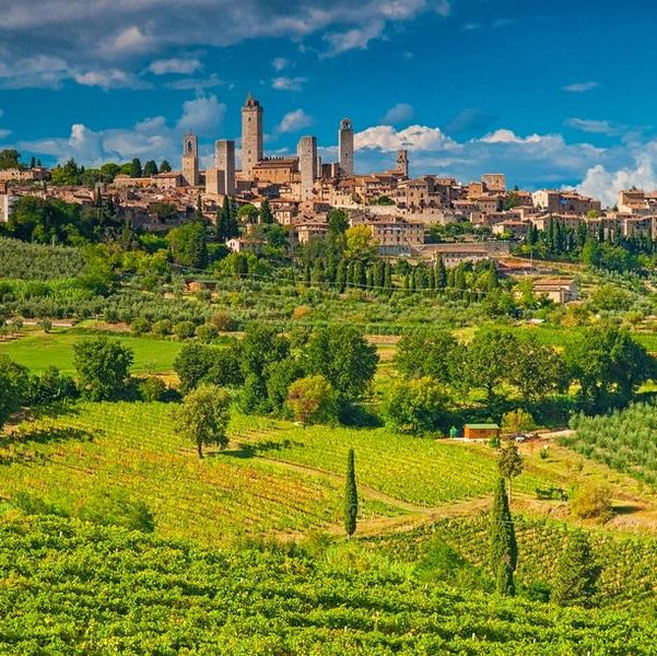 Tuscany Wine Tour & Tastings