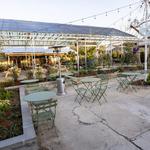 Barracuda Taco Stand