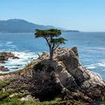 17-Mile Drive