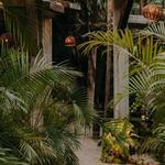 WILD Tulum