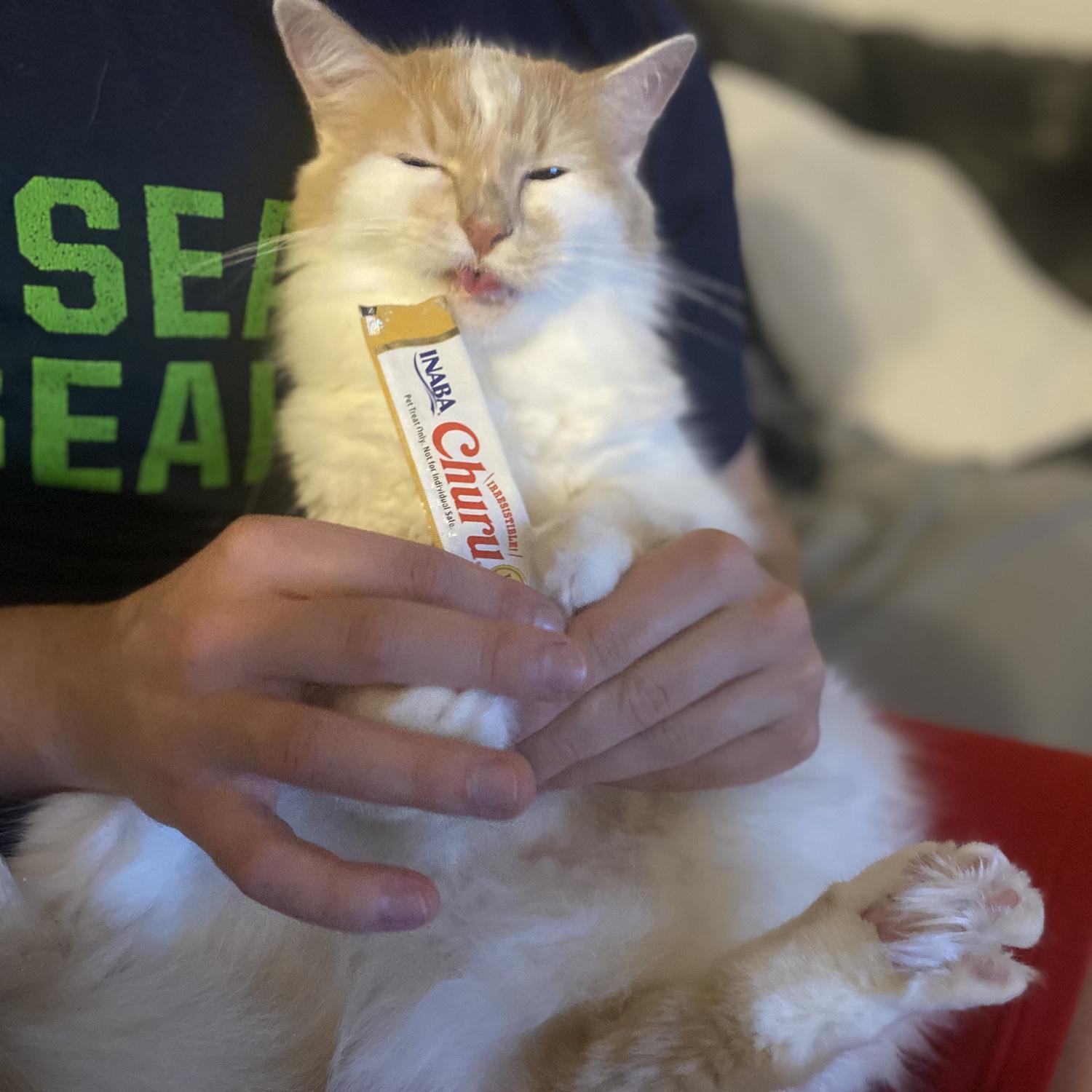 Leo snacking on a treat.
