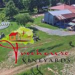 Treehouse Vineyards