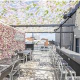 Novelty House Rooftop