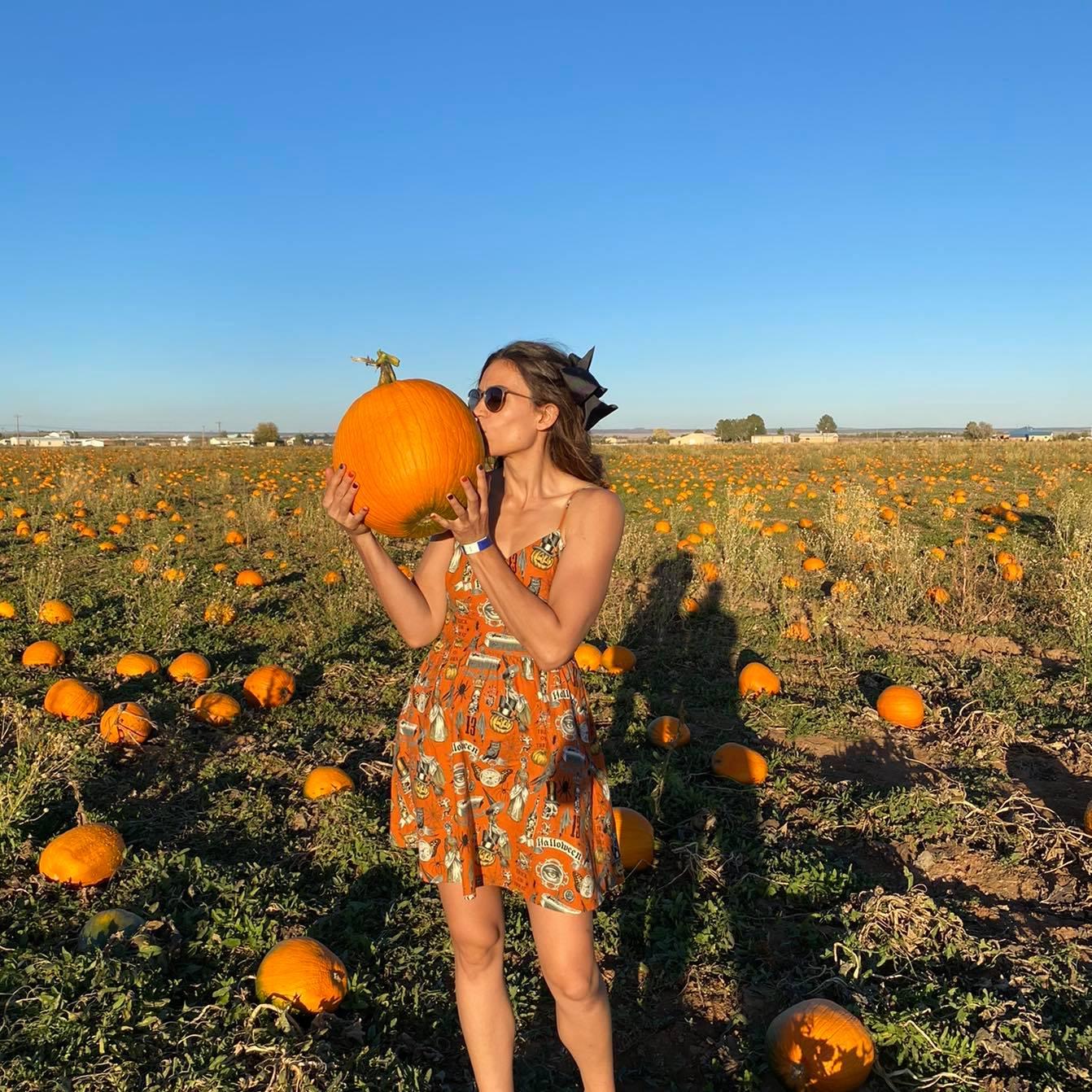 The most wonderful time of the year. The one pumpkin patch in New Mexico. October 2020.