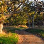 Sycamore Grove Park