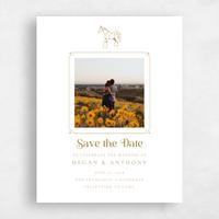 White Wedding Save the Date - Brisbee Photo