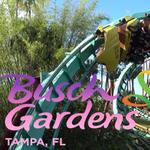 Busch Gardens Tampa Bay
