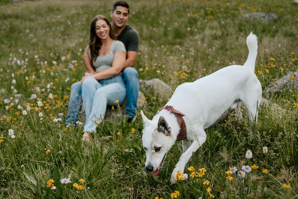 The Wedding Website of Blayke Roznowski and Jason Gonzales