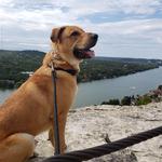 Mount Bonnell