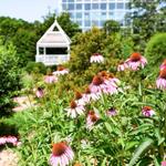 State Botanical Gardens of Georgia