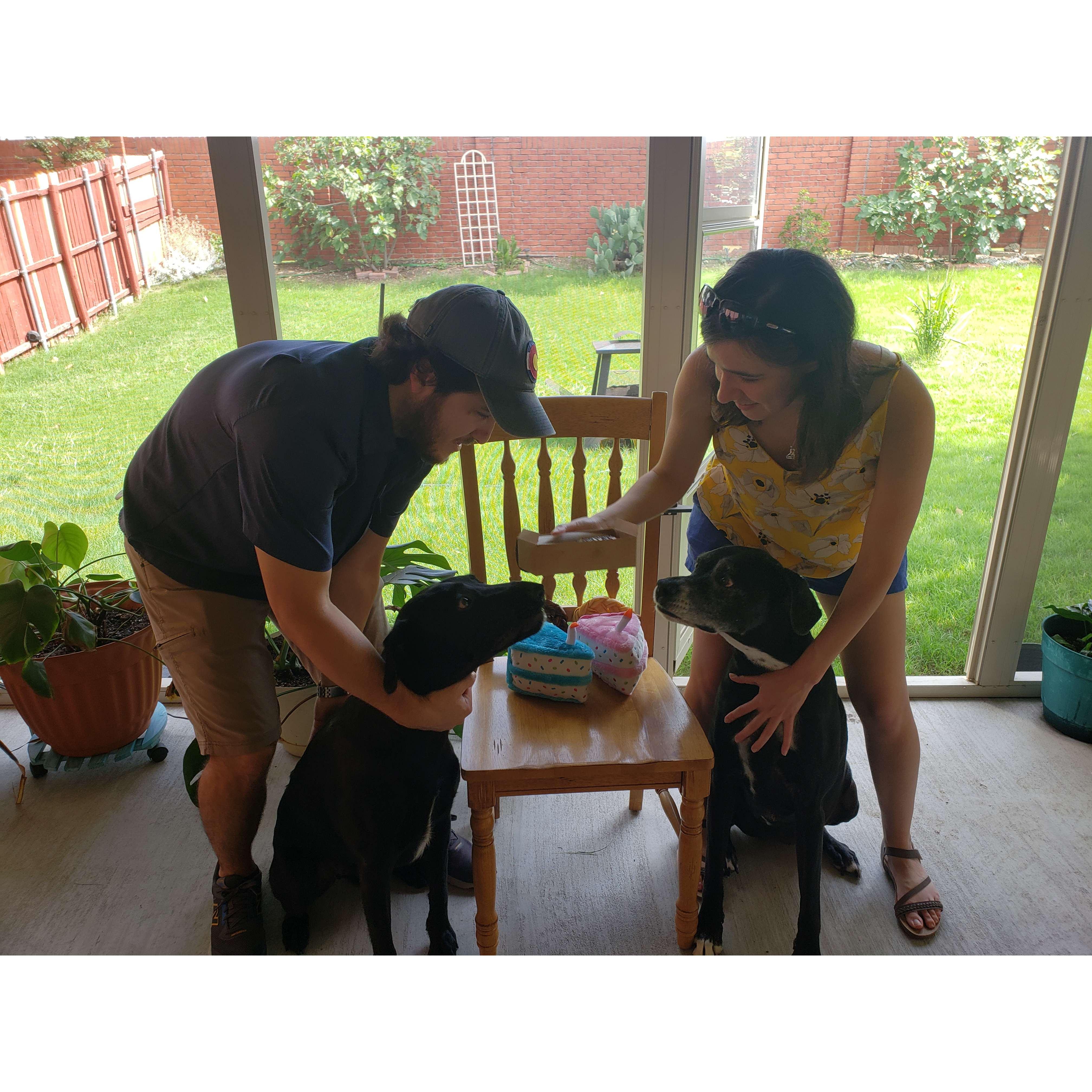Pup birthday party
