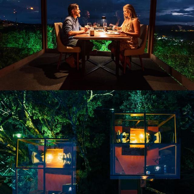 Tree Top Dining in Monteverde