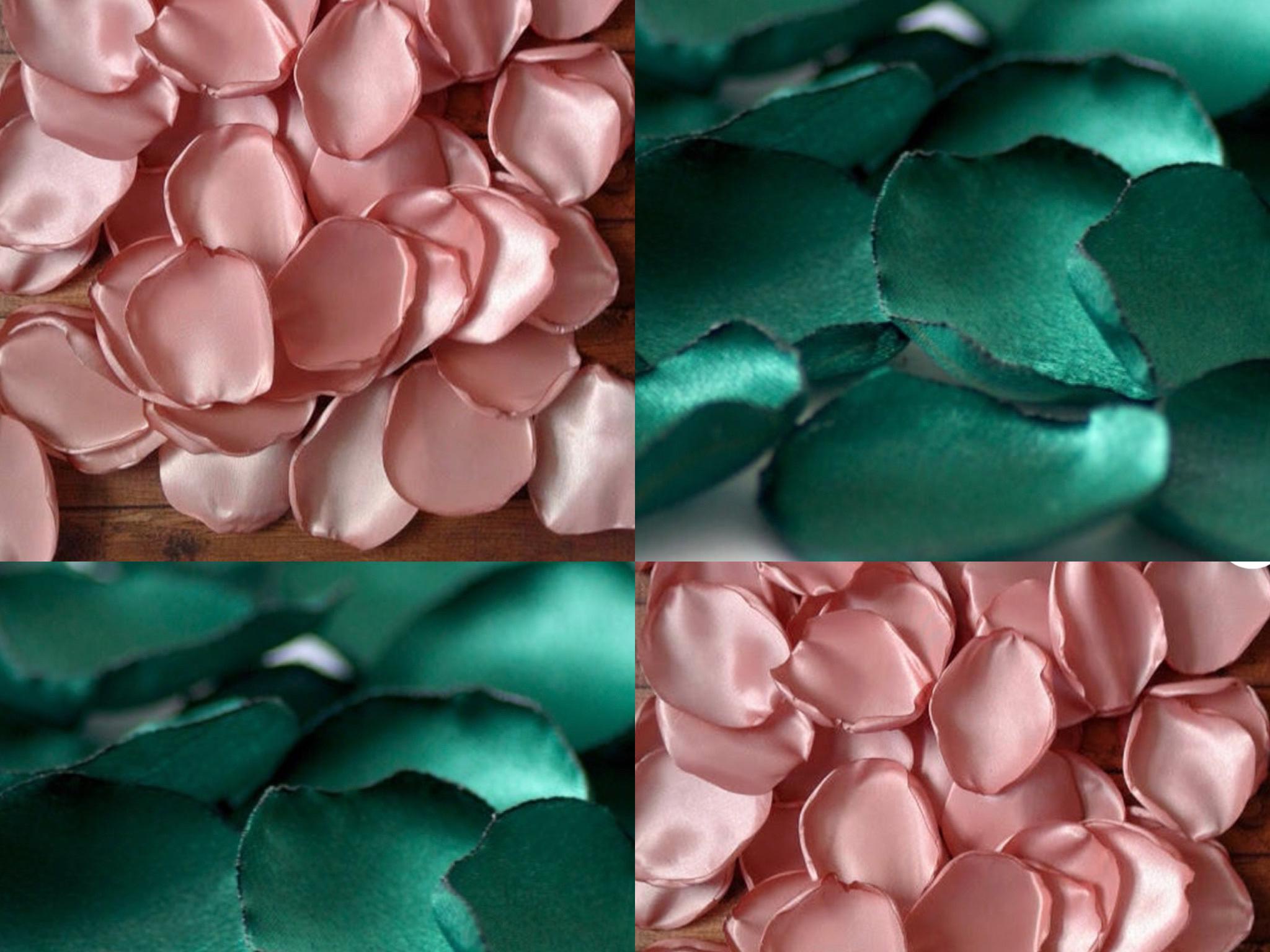 The Wedding Website of Stephanie Mitchell and Brandon Orr