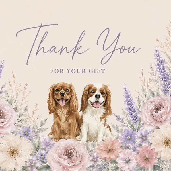 Cash Fund