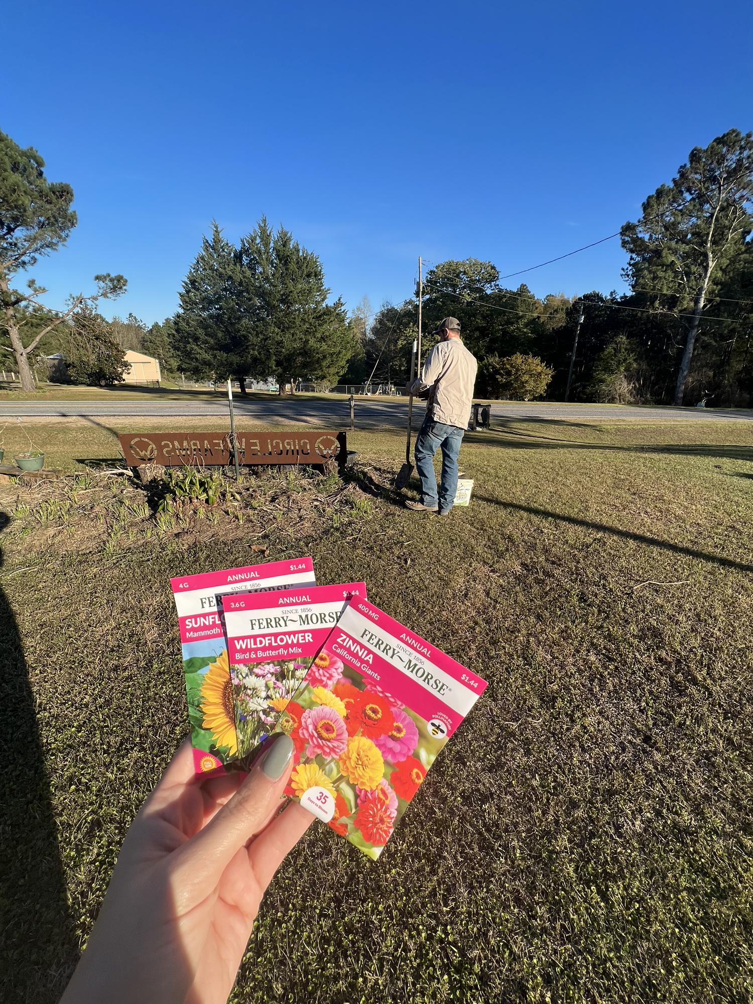 Planning Wildflower Seeds