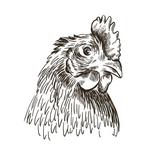 The Hatch Rotisserie & Bar