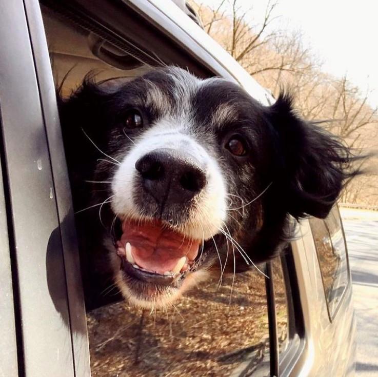 The Wedding Website of Ariel Robbins and Brian Bond