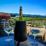 Link to Wine Tasting