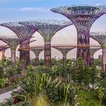 Gardens by the Bay