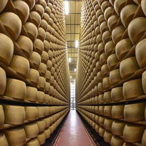 Pecorino & Ricotta Cheese Farm Tour in Tuscany
