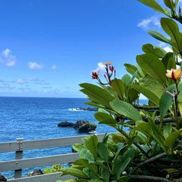 Honeymoon in Hawaii Fund
