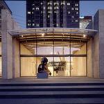 Nasher Sculpture Center