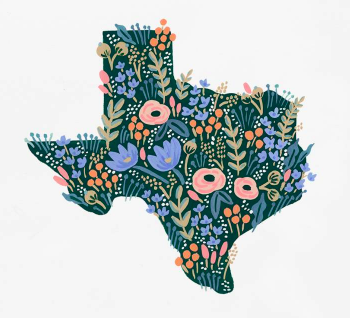 The Wedding Website of dimity sams and stephen hall