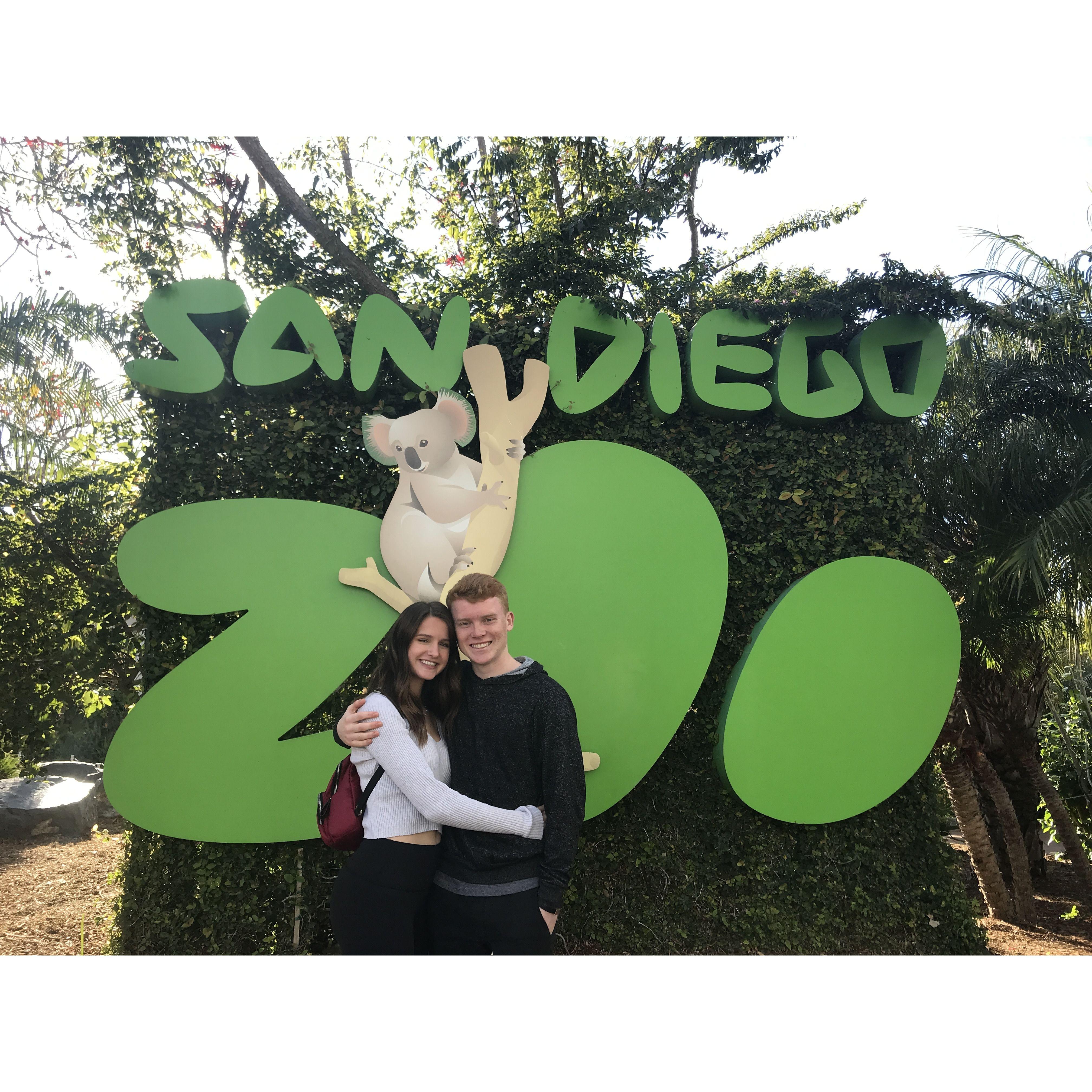 Visiting the San Diego Zoo