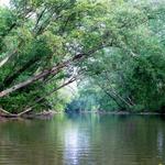Riverwalk Park