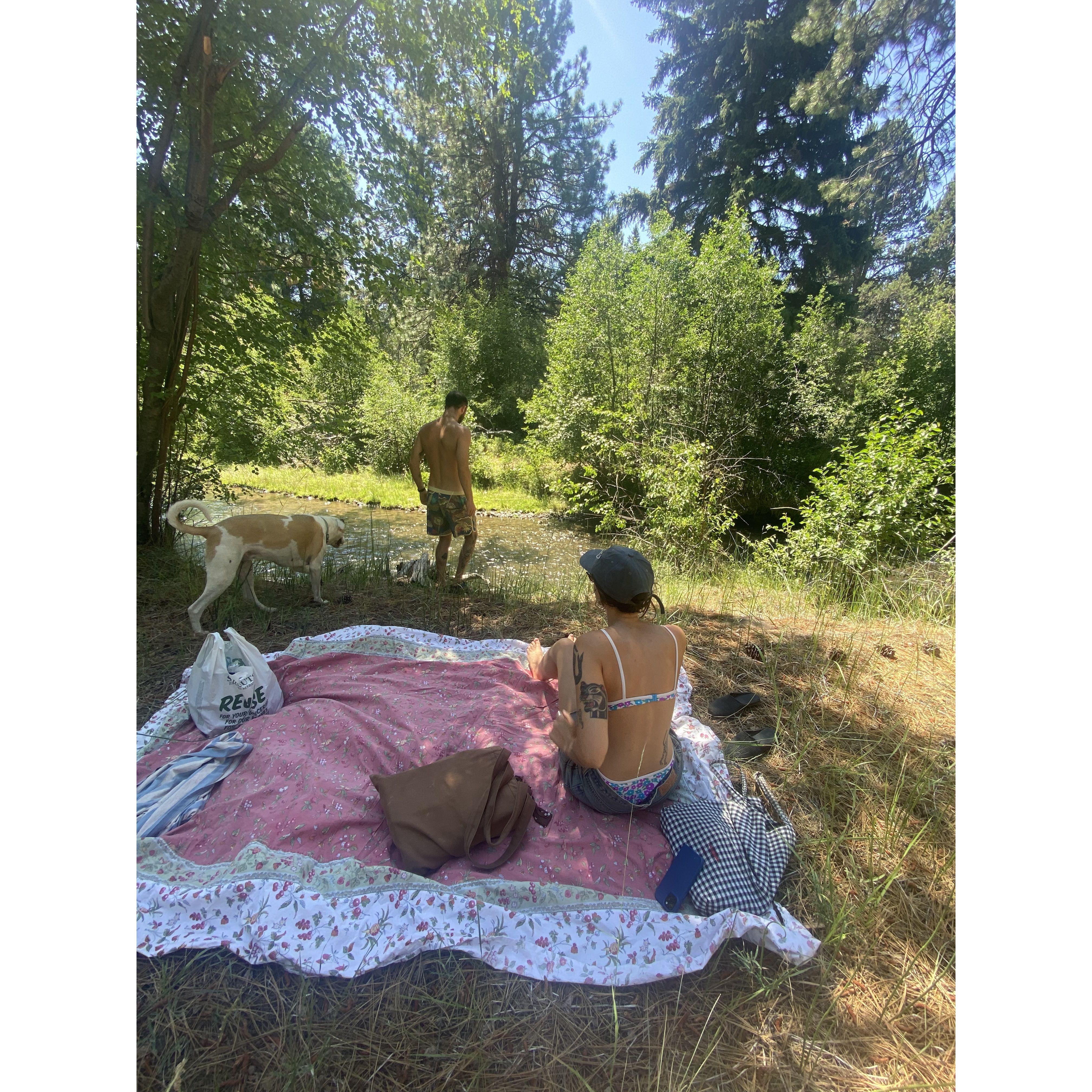 A perfect summer day down by the creek