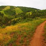 Jenni's Trail