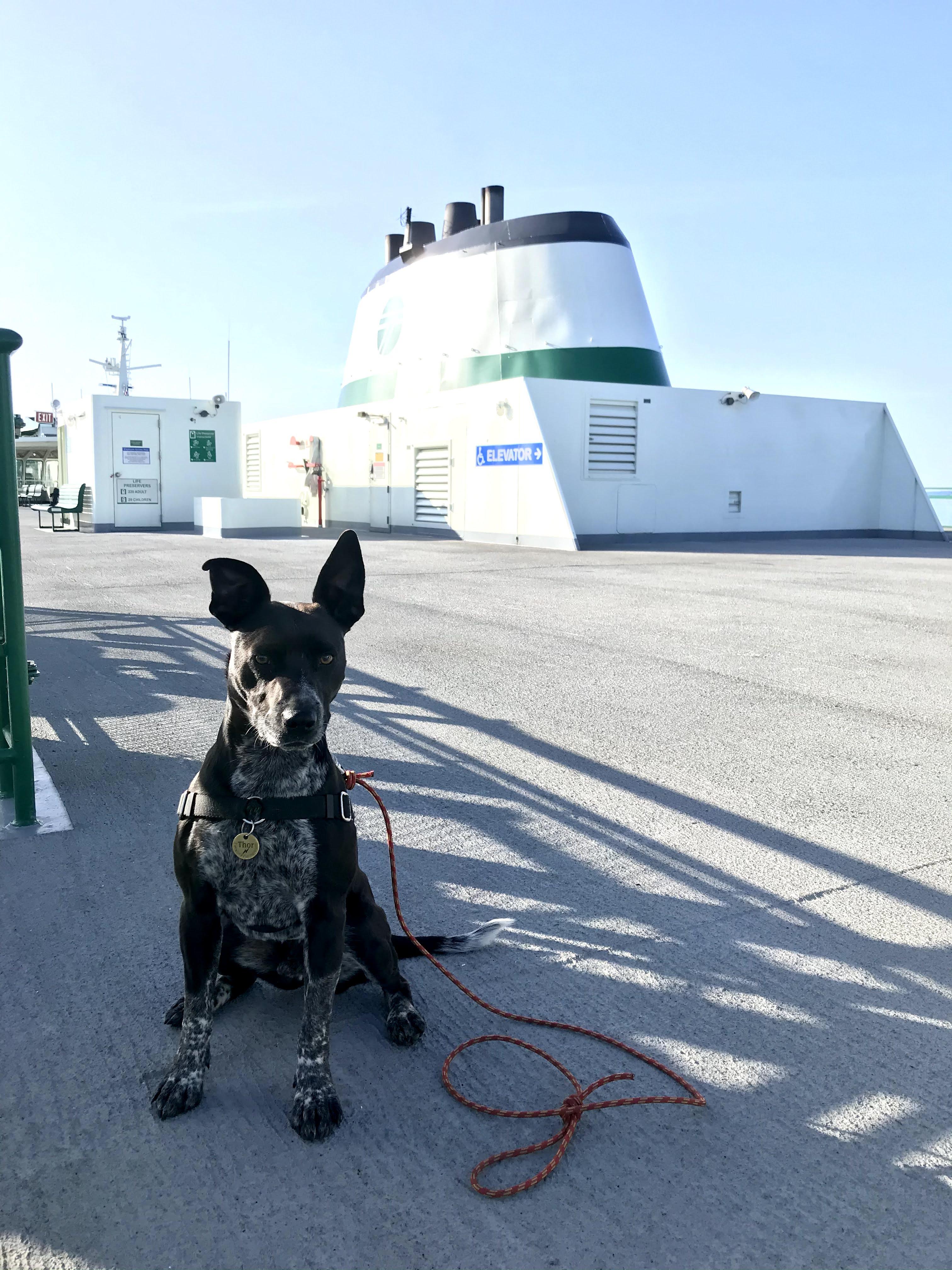 The Wedding Website of John Place and Rachel Bishop