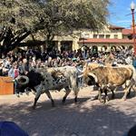 Fort Worth Stockyards