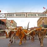 Fort Worth Stockyards