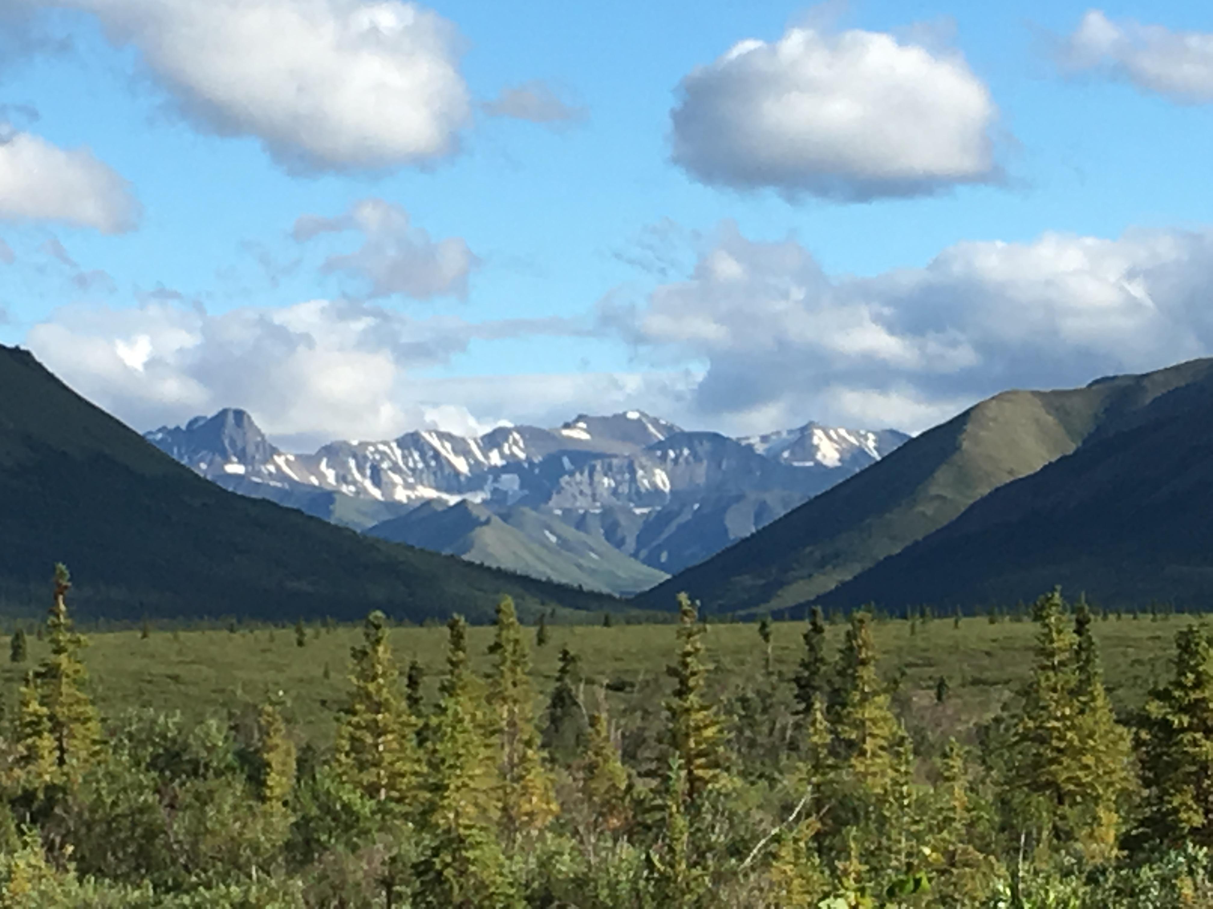 The Wedding Website of Cassidy Landes and Wm "Patrick" McLain Jr