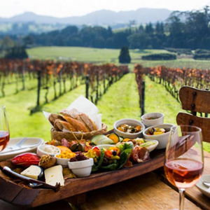New Zealand wine tasting