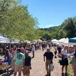 Livingston Manor Farmers Market