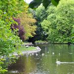 Saint Stephen's Green