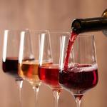 Essential Wineries in the Region