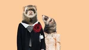 The Wedding Website of Brita Rustad and Connor Goldstein